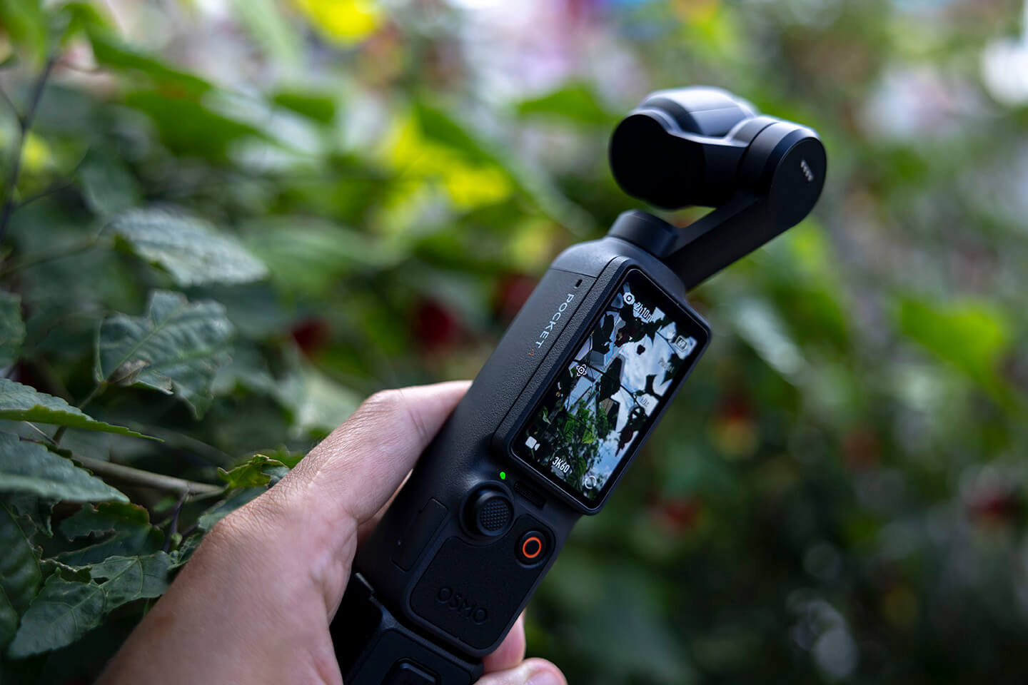Thuê DJI Pocket 4 Đà Lạt quay vlog du lịch