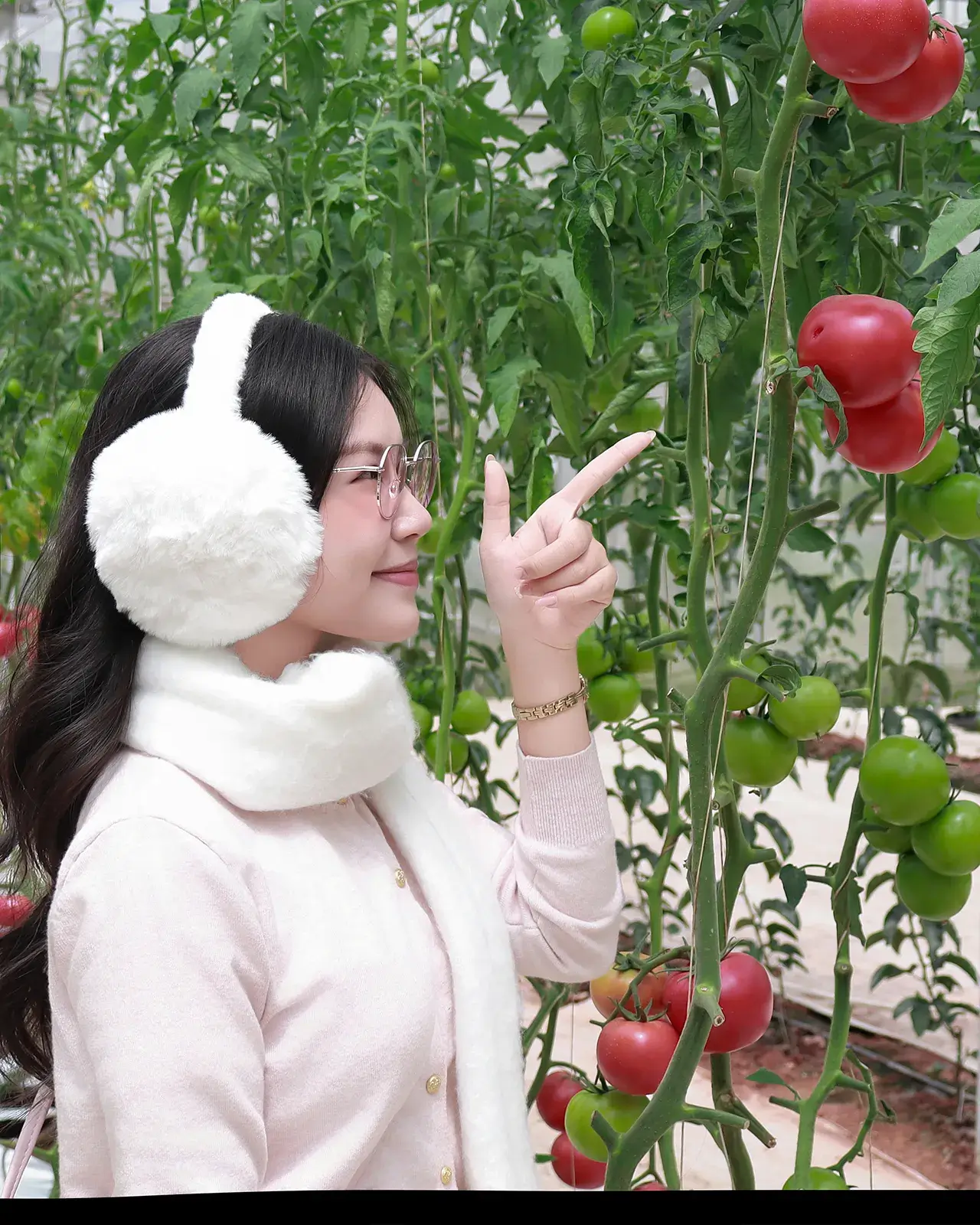 Cô gái đeo bịt tai lông trắng đứng trong nhà kính trồng cà chua đang chín